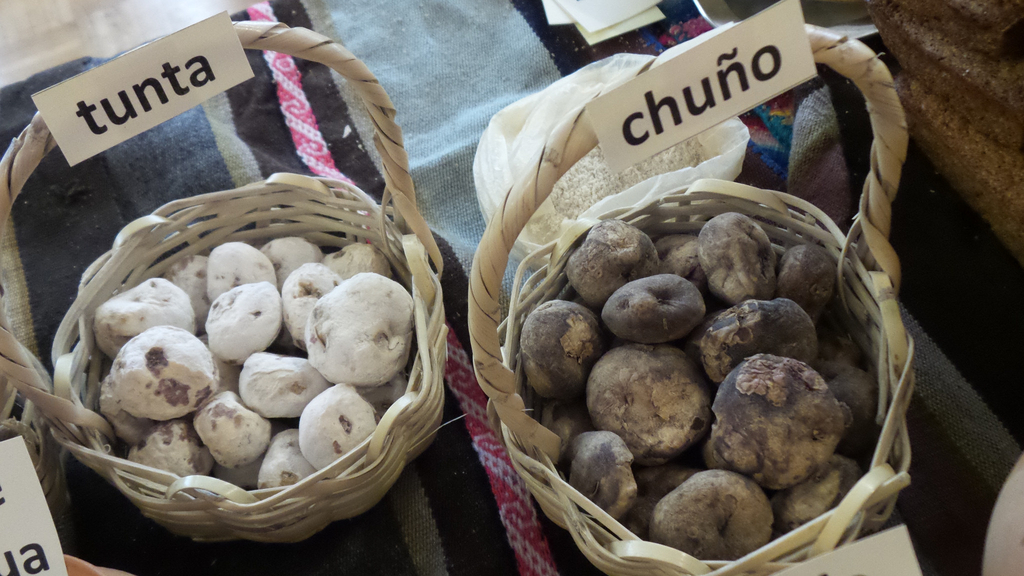 Freeze-dried potatoes: the traditional processing method for stress-tolerant bitter potatoes. Credit: Bioversity International/G. Meldrum