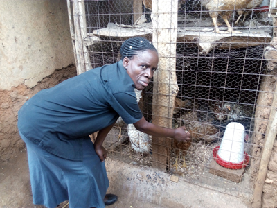 Mary Kwena, participant of the Itumbu group is presenting the communal poultry shelter. Credit: Bioversity International/I. Otieno