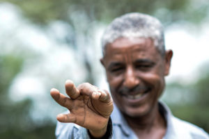White pea beans have been transformed from a neglected crop into a key export in Ethiopia. 