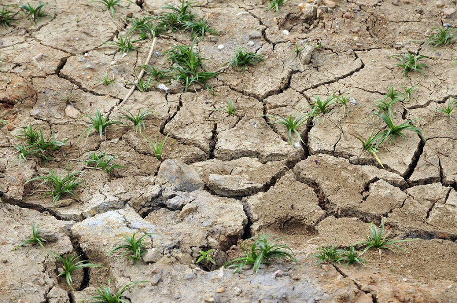 Dry, cracked earth