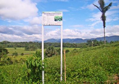 Vitrina Forrajera