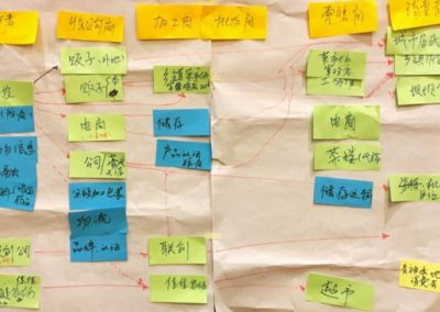 Value chain map (China)