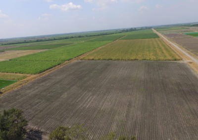 DJI_0005