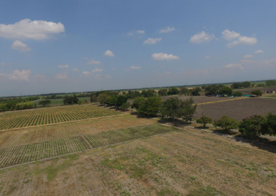 DJI_0008