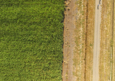 DJI_0034