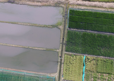 DJI_0167