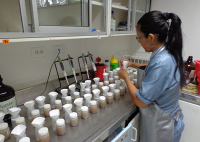 37 años de trabajo en análisis de investigación en plantas y suelos