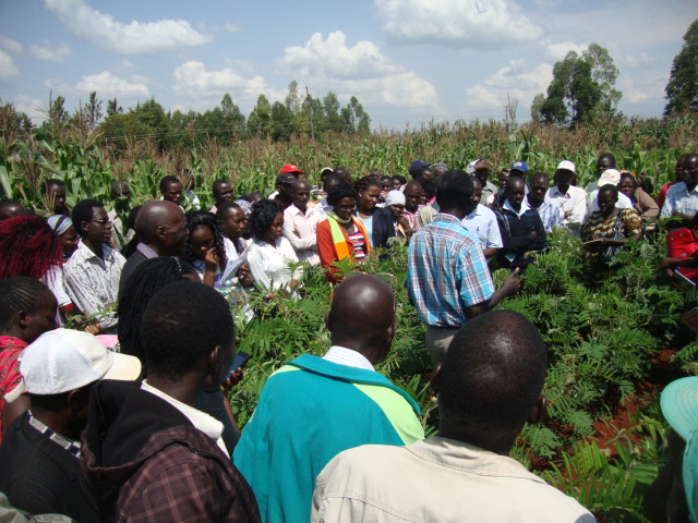 Soil management is not a quick-fix: hence the importance of these long-term trials. Credit: John Mukalama