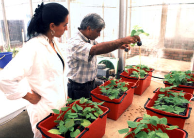 Trabajo en equipo