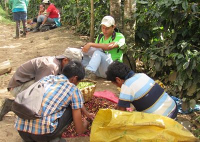Collecting data