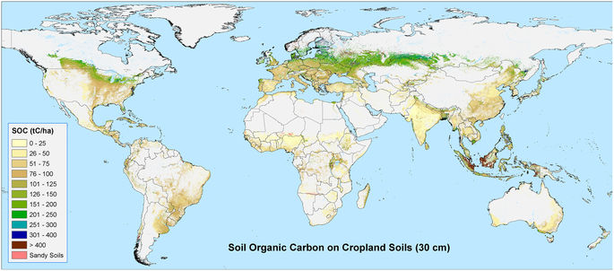 Soil organic carbon (SOC) in the top 30 cm, currently (T0), on all available cropland soils globally (i.e. those not excluded from the analysis as high SOC soils or sandy soils). Maps were produced based upon a geospatial analysis of datasets from the SoilsGrids250 database19, using ESRI ArcGIS software (version 10.3; www.esri.com). Soil organic carbon (SOC) in the top 30 cm, currently (T0), on all available cropland soils globally (i.e. those not excluded from the analysis as high SOC soils or sandy soils). Maps were produced based upon a geospatial analysis of datasets from the SoilsGrids250 database19, using ESRI ArcGIS software (version 10.3; www.esri.com).