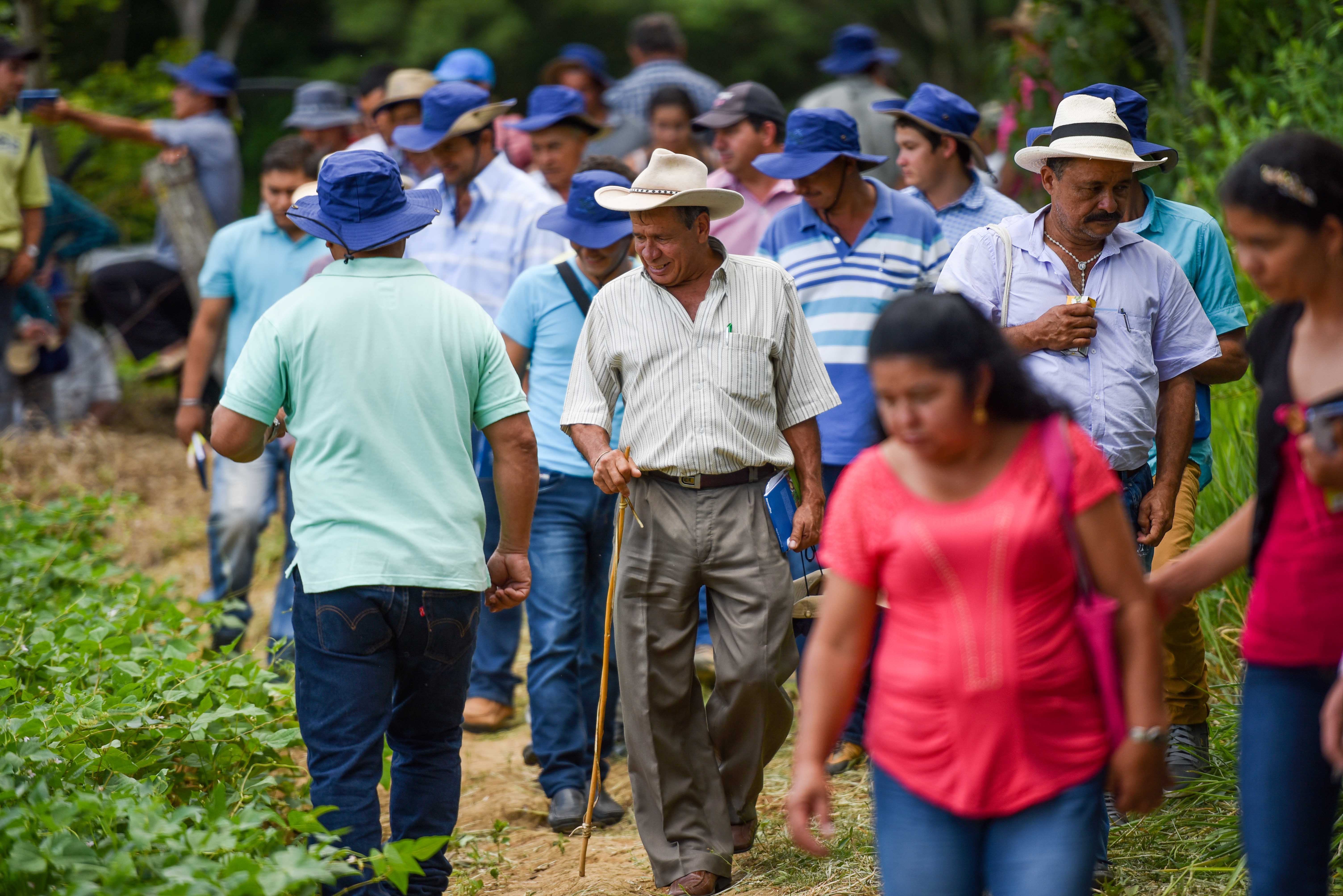 Pic by Neil Palmer (CIAT). Farmers at the launch event for new high-iron beans, near Barichara, Santander Department, Colombia