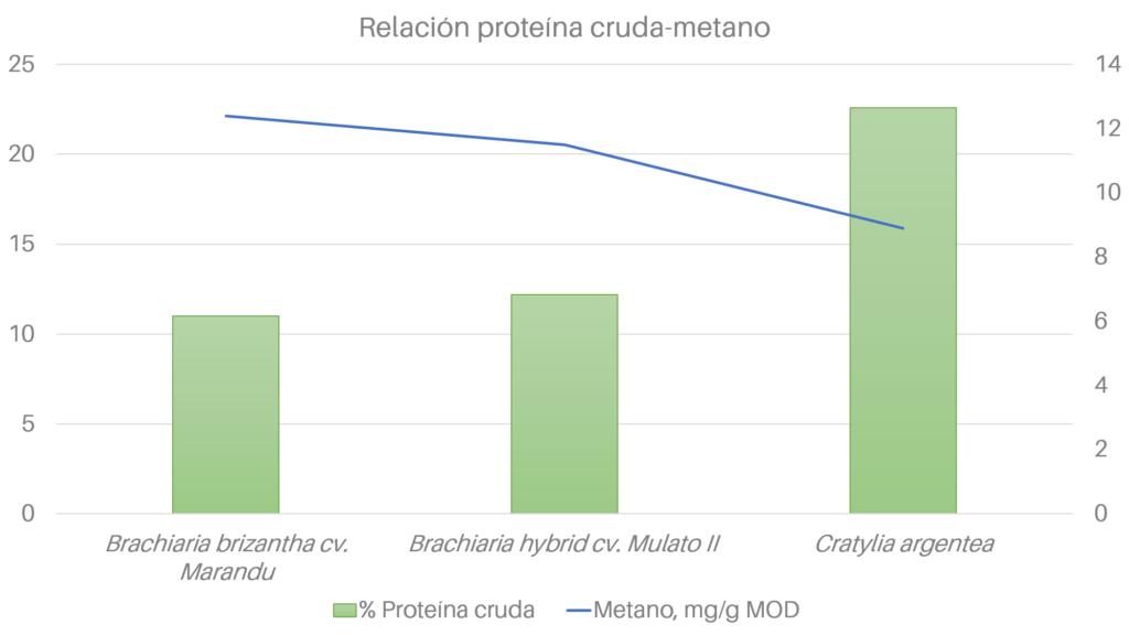 Resultados de la evaluación de tres variedades de forrajes en cuanto su contenido protéico y nivel de emisiones de metano