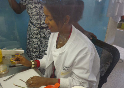 Trainees, Mihiret (A) and Antony (B) cutting the infected root tissues to isolate the root rot pathogens.