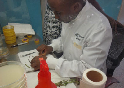 Trainees, Mihiret (A) and Antony (B) cutting the infected root tissues to isolate the root rot pathogens.