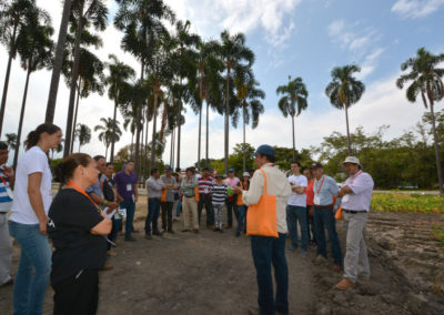 encuentro_frijol-colombia10