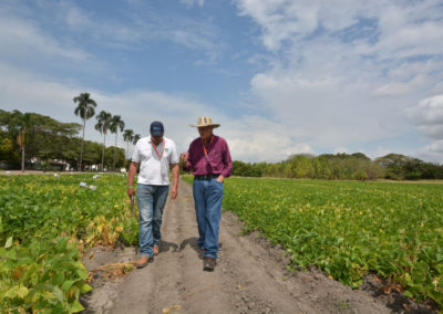 encuentro_frijol-colombia3