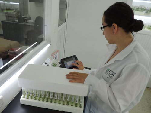 evaluacion_germoplasma