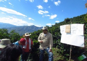 gc-campo-300x210