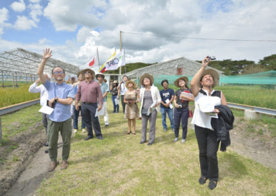 Trabajo en campo