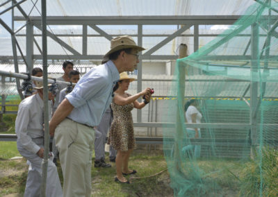 Trabajo en campo