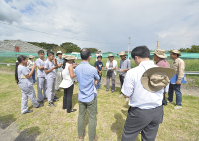 Trabajo en campo