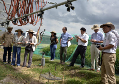 Trabajo en campo