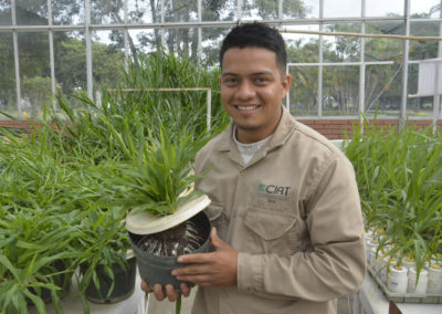 Jeison Velasco, Integrante del equipo de entomología y patología de forrajes