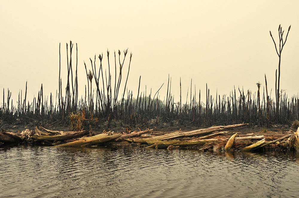 Burning of peatland is widespread in parts of SE Asia