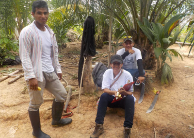 proyecto_sal9