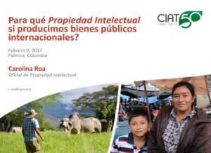 seminario