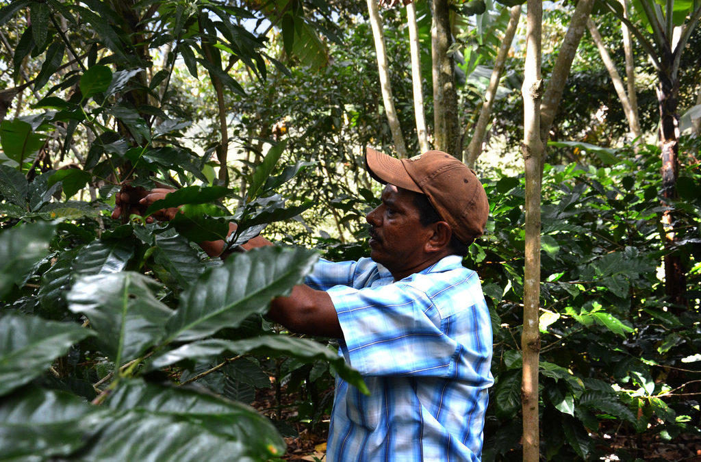Retos del cambio climático para América Latina y el Caribe