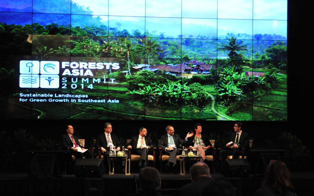 An eye on deforestation: Terra-i goes to Asia