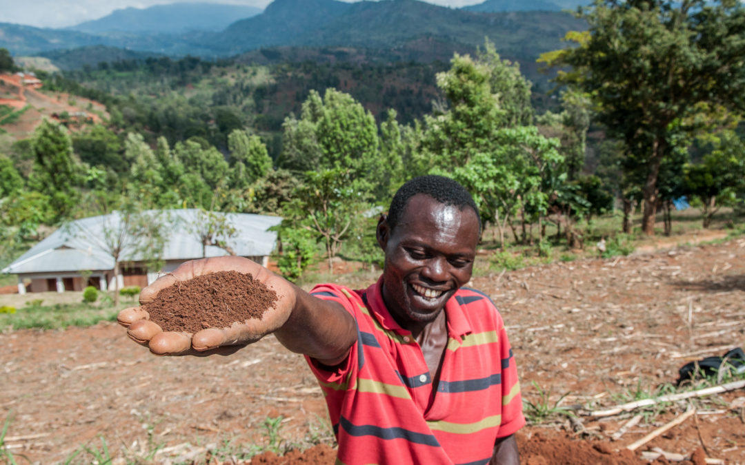 Shifting sands: putting carbon back into soils