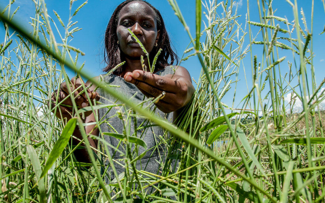 No compromise: food security and carbon hoofprints