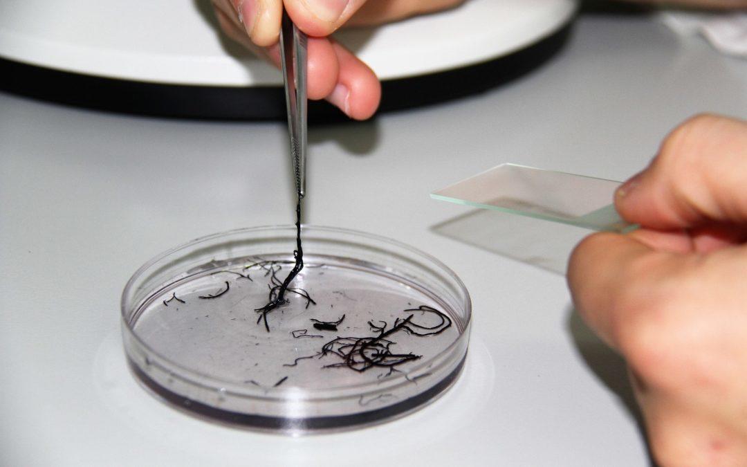 New microbial biotechnology platform launched in Vietnam