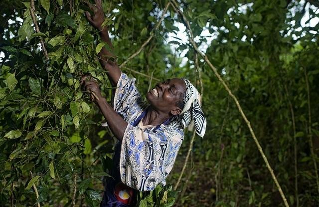 30 years of gender and forests