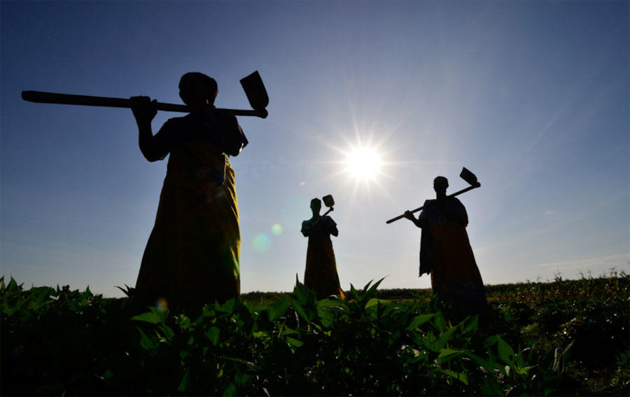 Making the business case for climate-smart agriculture
