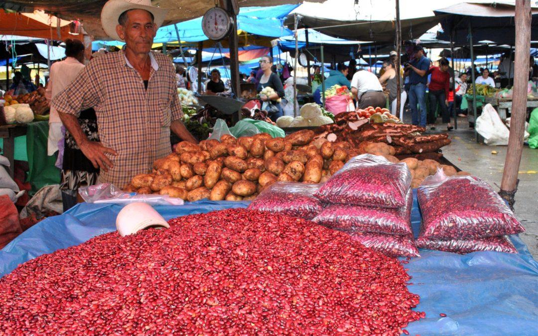 ¿Qué pueden aprender Cali, Quito y Medellín de sus sistemas alimentarios?