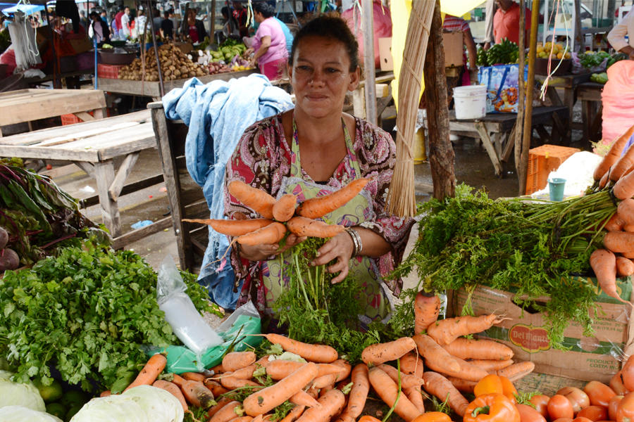 Sustainable Food Systems: Agriculture-Nutrition Linkages