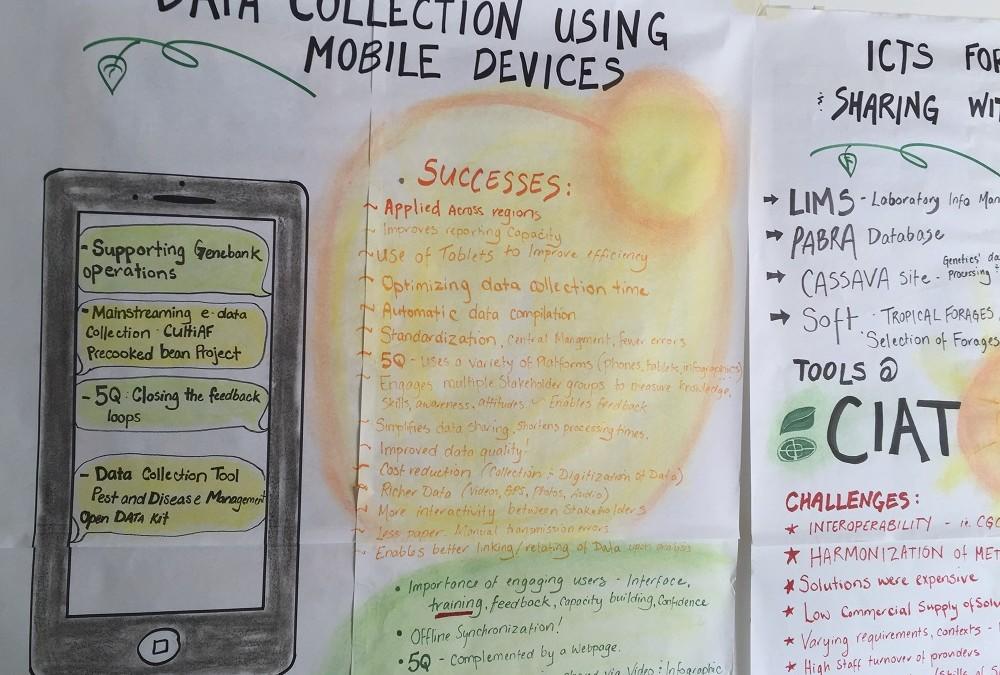 Graphic recording at CIAT’s internal ICT4D conference