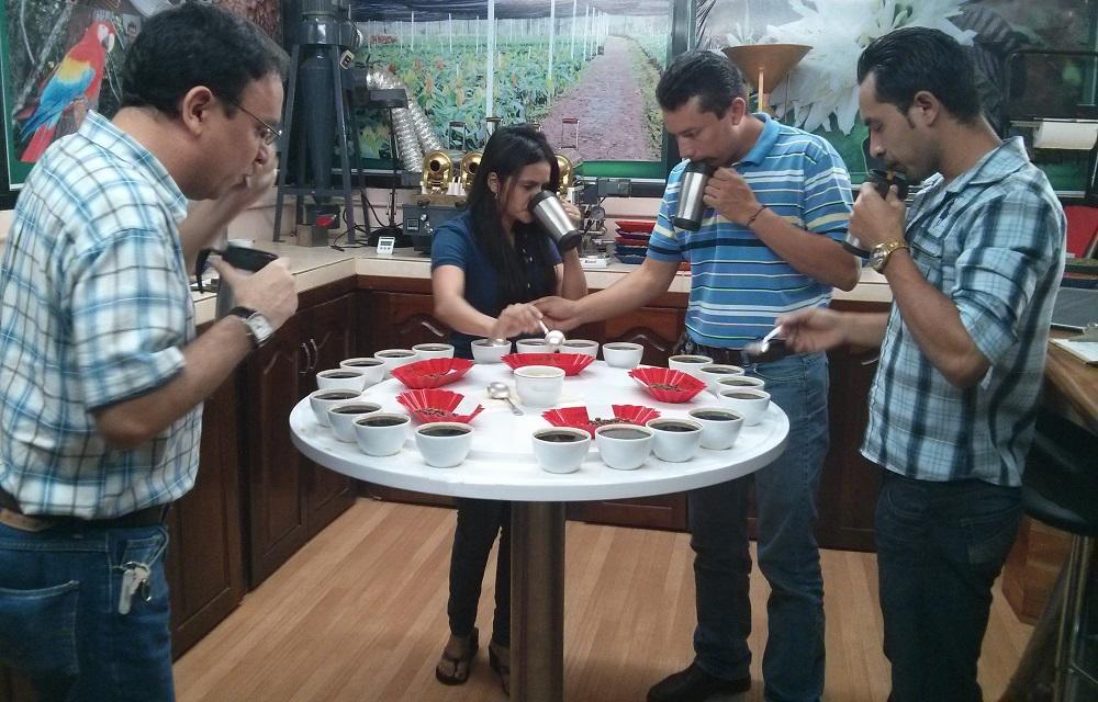 Fair Trade Coffee’s Aftertaste