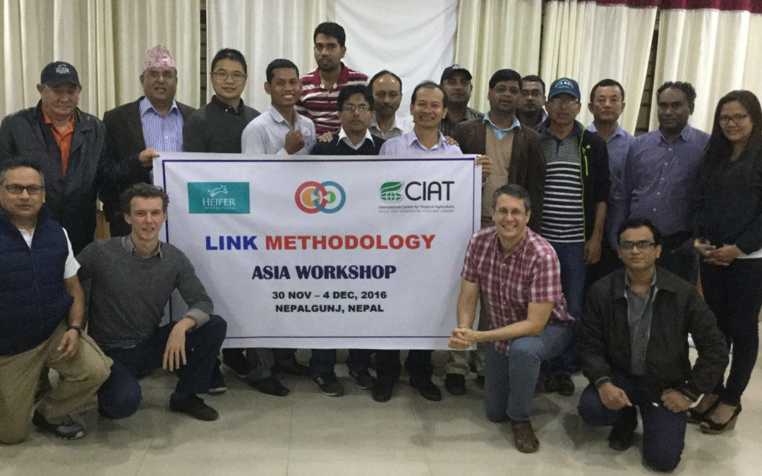 Anchoring LINK in Asia