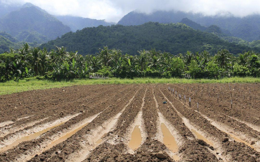 Asia-Pacific countries identify priority action to build resilience of agriculture to natural disasters