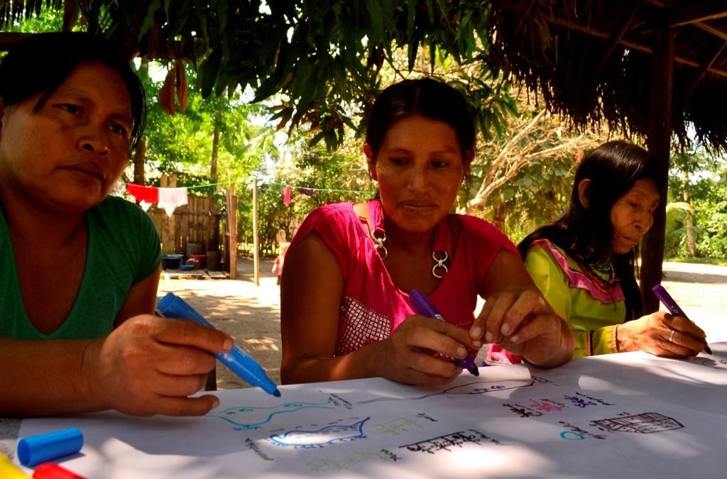 Finalization of ASSETS’ fieldwork activities in the Amazon