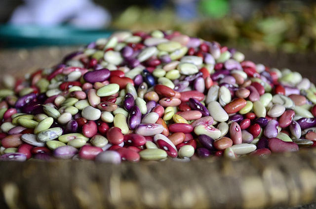 The road out of poverty depends on feeding our children nutritious food first