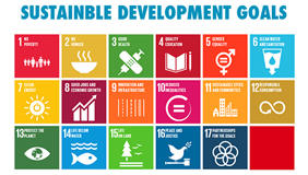 Ecosystem services and SDGs - where's the link?