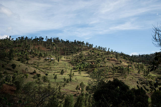 Climate-Smart Agriculture profiles to guide investments in three more African countries