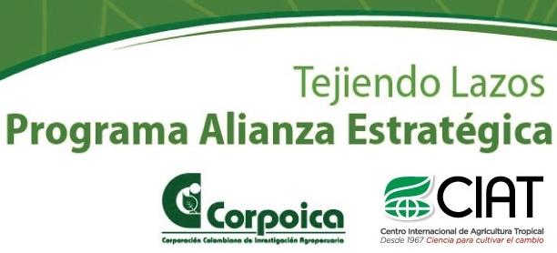 Corpoica y el CIAT, tejiendo lazos para mayor cooperación