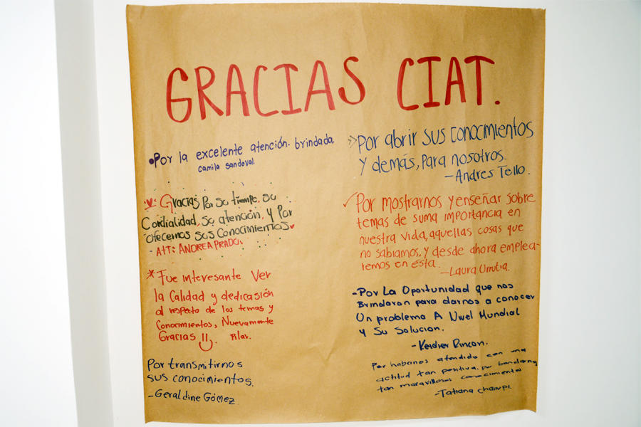 140 jóvenes participaron en la “Casa Abierta” del CIAT